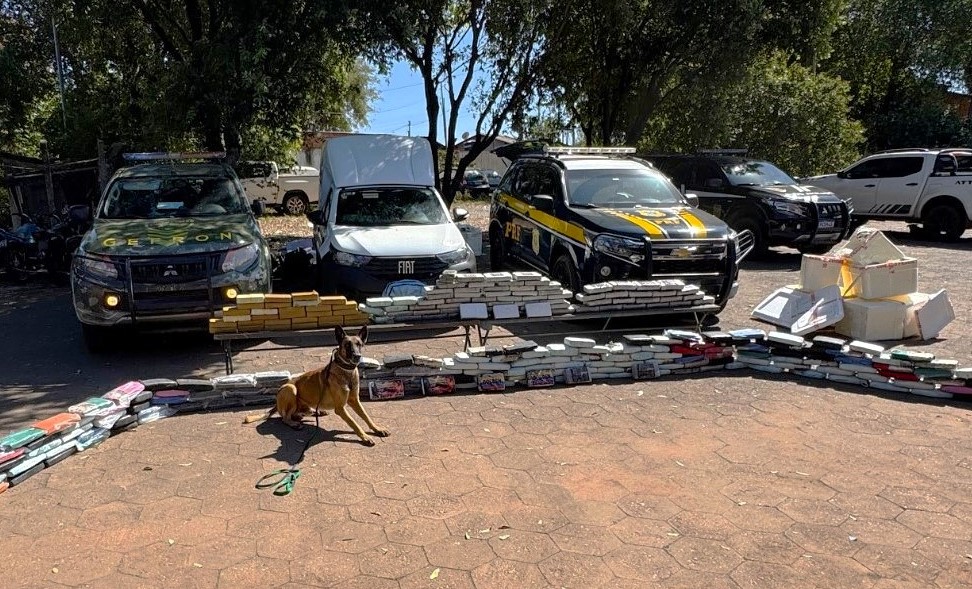 Operação integrada do Gefron e PRF apreende 280 quilos de drogas com auxílio de cão farejador