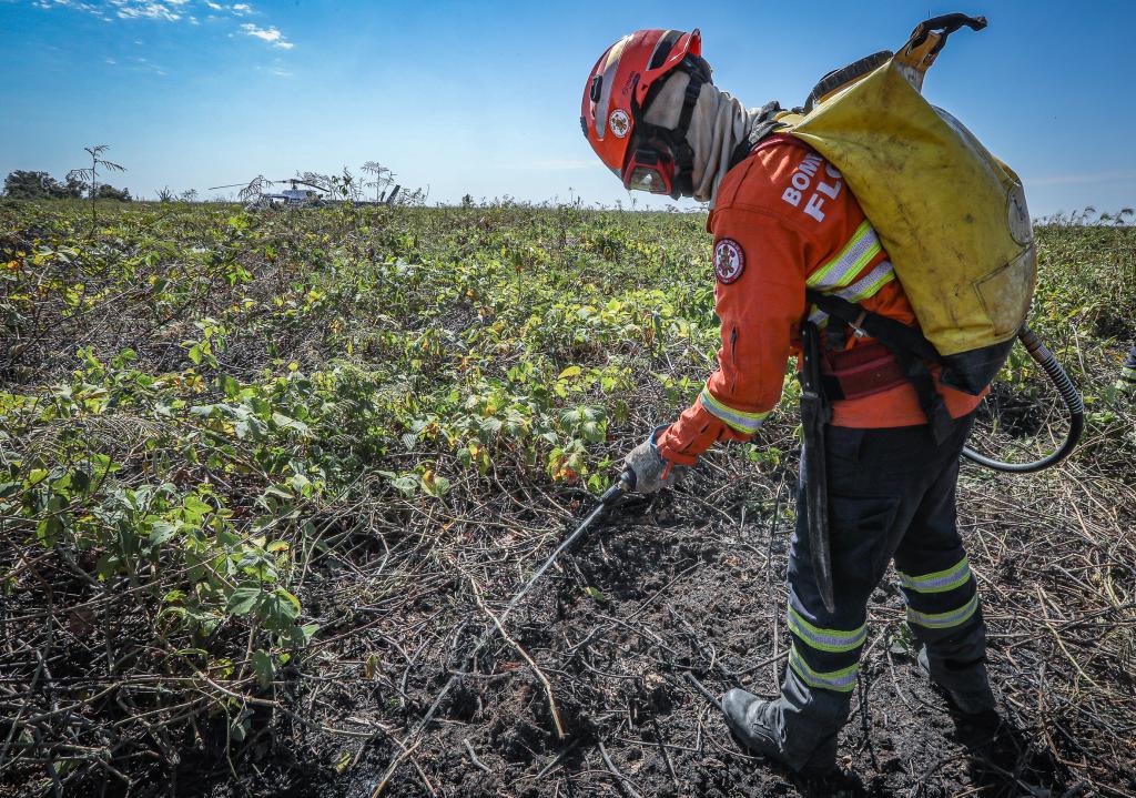 Corpo de Bombeiros combate 38 incêndios florestais neste domingo (7)