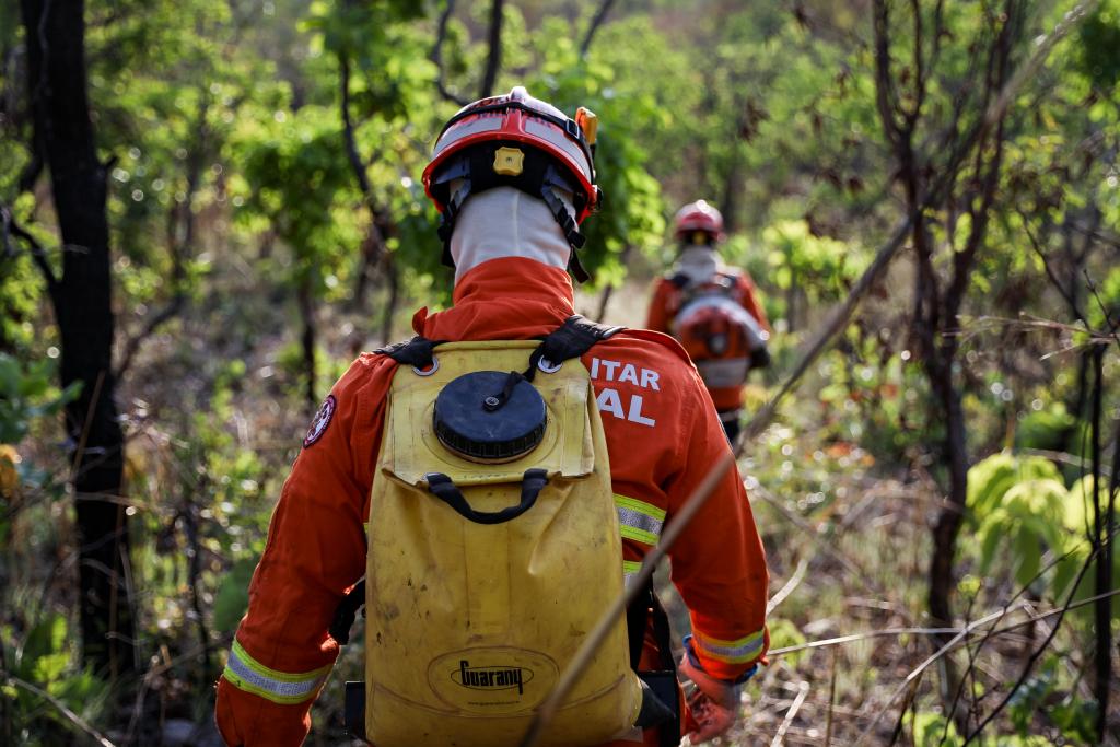 Corpo de Bombeiros combate 12 incêndios florestais neste domingo  (19)
