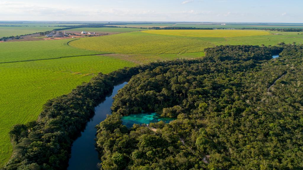 Governo do Estado e PCI promovem Seminário Pré-COP 30 em Brasília