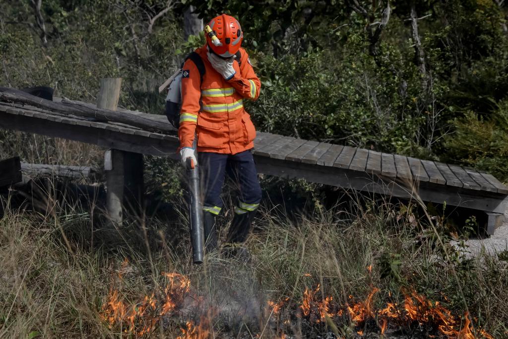 Corpo de Bombeiros combate 18 incêndios florestais neste domingo (12)