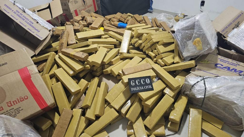 Apreensões de drogas em 2025 geram prejuízo de R$ 574 milhões às facções criminosas
