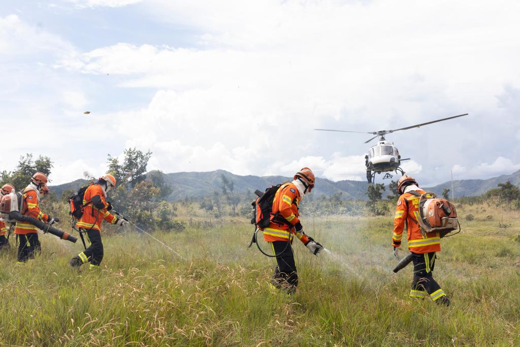 Corpo de Bombeiros combate 18 incêndios florestais neste domingo (5)