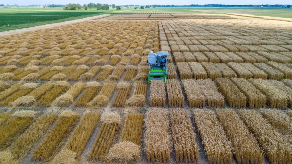 Internacionalização da Unemat vai da sala de aula ao “Cinturão do Milho” nos Estados Unidos