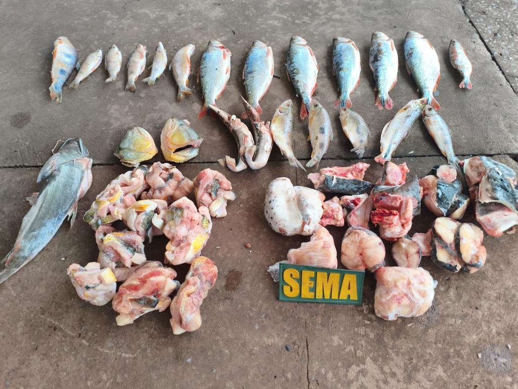 Sema e PM apreendem pescados irregulares em estabelecimento às margens do Rio Cuiabá