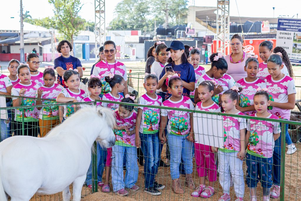 Simininas conhecem mini animais e aprendem sobre melhoramento genético durante visita à 58ª Expoagro