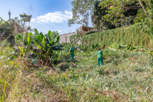 Limpurb retira lixo e vegetação de córrego no bairro Araés