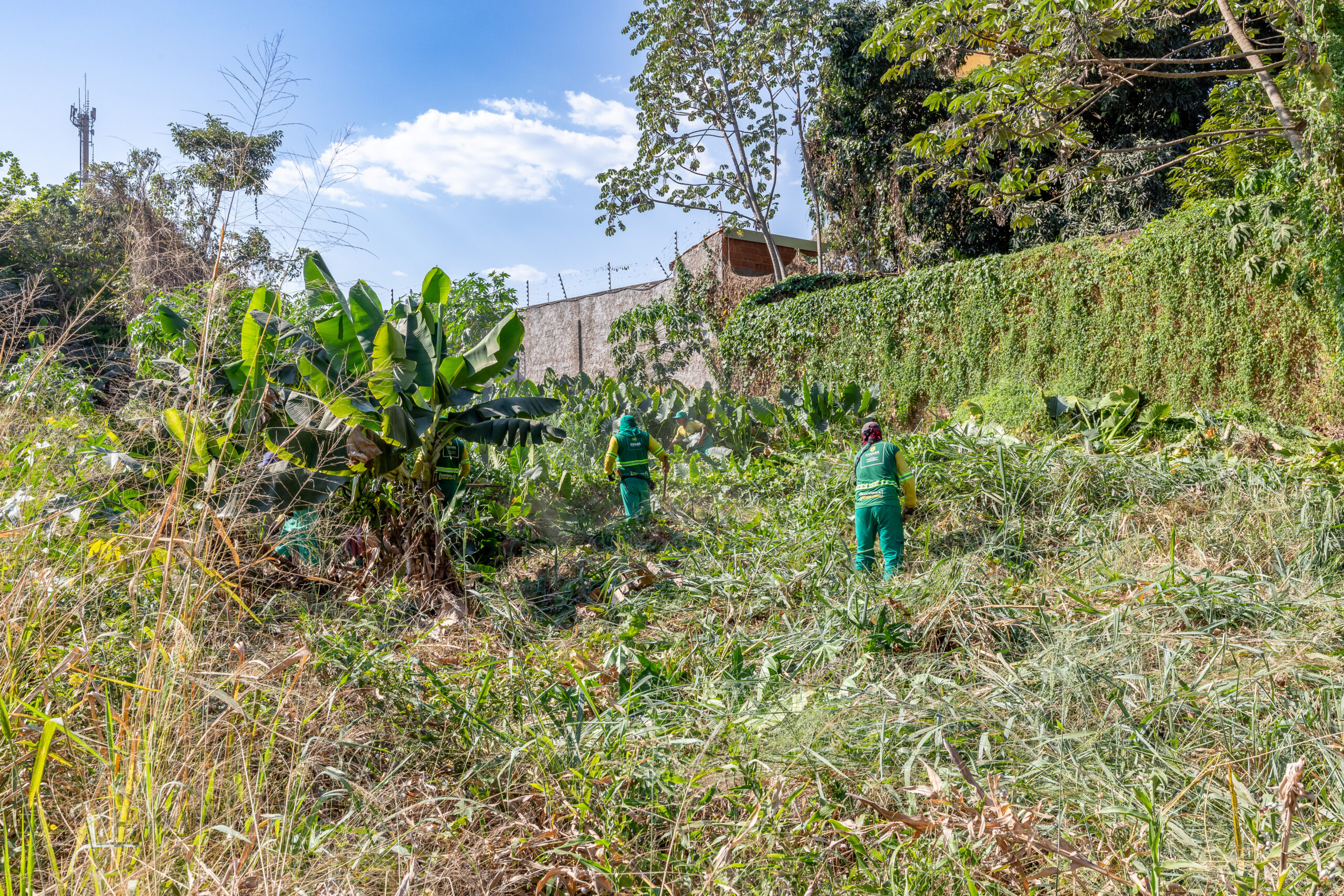 Limpurb retira lixo e vegetação de córrego no bairro Araés